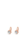Absolute Rose Gold Crystal Lever Back Earrings
