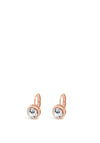 Absolute Rose Gold Crystal Lever Back Earrings