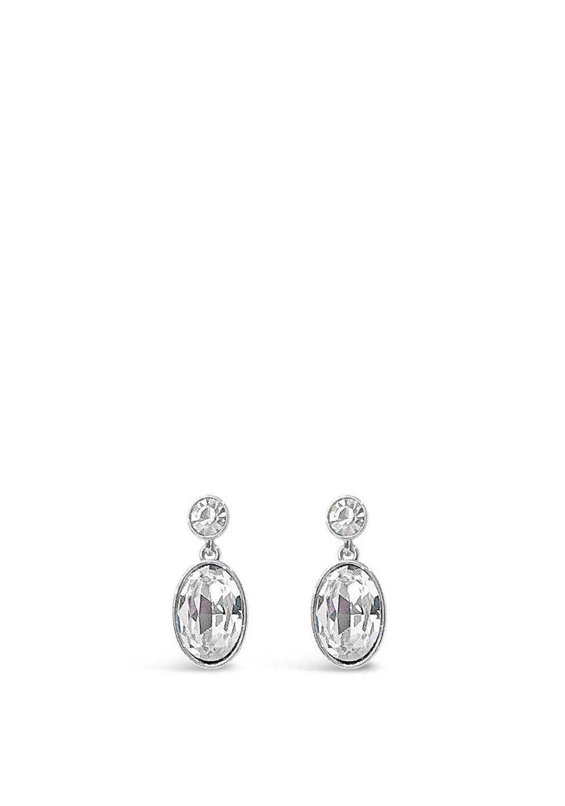 Absolute Drop Earrings, Silver