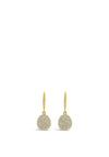 Absolute Diamante Oval Drop Earrings, E2103GL
