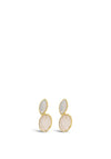 Absolute Gold Speckled Nude Oval Drop Earrings, E2088GL
