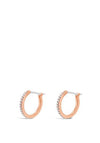 Absolute Diamond Hoop Earrings, Rose Gold