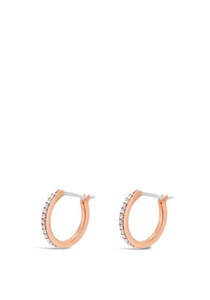 Absolute Diamond Hoop Earrings, Rose Gold