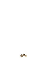 Absolute Star Diamanté Single Tragus Earring, Gold