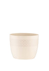 Belleek Living Daisy Dot Flower Pot