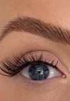 BPerfect X Laura B Universal Lash Collection