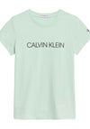 Calvin Klein Girls Slim Fit Logo T-Shirt, Dew Green