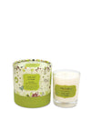 Celtic Candles Lime Leaf & Ginger Aromapot Jar, 200g