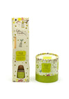 Celtic Candles Diffuser & Aroma Pot Bundle, Lime Leaf & Ginger