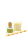 Celtic Candles Diffuser & Aroma Pot Bundle, Lime, Basil & Mandarin