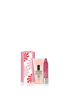 Clinique Merry Moisture Set