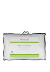 Dreamworld Anti-Allergy Pillow Pair