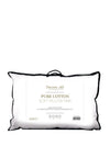 Dreamworld Pure Cotton Soft Pillow Pair