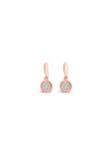 Absolute French Hook Crystal Earrings, Rose Gold
