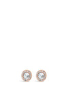 Absolute Rose Gold Crystal Disk Earrings