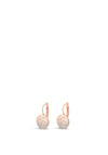 Absolute Diamante Disc Earring, Rose Gold