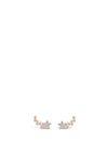 Absolute Flower Crawler Earrings, Rose Gold