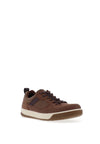 Eco Byway Casual Trainer, Potting Soil & Cocoa Brown