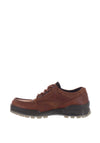 Ecco’s Men’s Gore-Tex Leather Waterproof Shoe, Brown