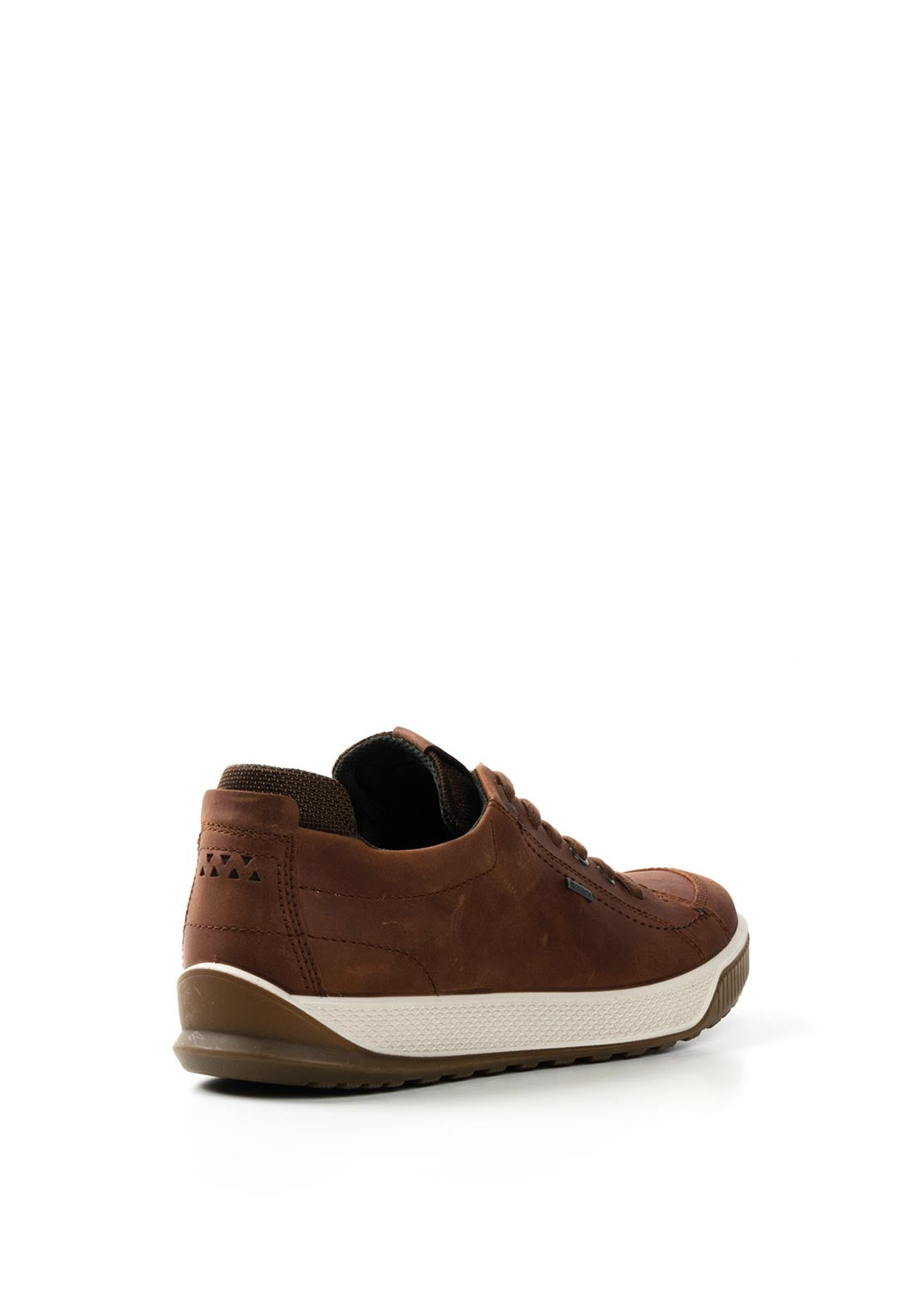 Ecco Mens Gore-Tex Byway Tred Shoe, Brown