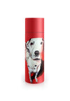 Eoin O’Connor by Tipperary Crystal Metal Water Bottle, Cruella