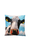Eoin O’Connor by Tipperary Crystal Tinahely Girl 43cm Cushion