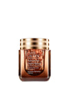 Estee Lauder Advanced Night Repair Intensive Recovery Ampoules