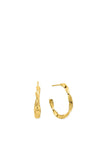 ChloBo Sun Twisted Hoop Earrings, Gold