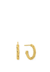 ChloBo Entwined Passion Hoop Earrings, Gold
