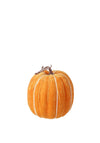 Heaven Sends Orange Velvet Pumpkin with White Stripe
