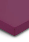 Helena Springfield 180 Thread Count Fitted Sheet, Mulberry
