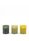 Herb Dublin Winter Walks Set of 3 Candles