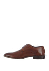 Herbie Frogg Derby Brogue Shoe, Mahogany