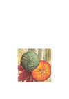 IHR Pumpkin Duo Napkins, Multi