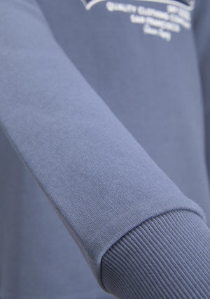 Jack & Jones Boys Logo Sweat Hoodie, Flint Stone