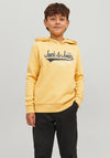 Jack & Jones Boys Logo Sweat Hoodie, Jojoba