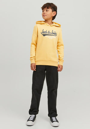 Jack & Jones Boys Logo Sweat Hoodie, Jojoba