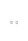 Absolute Diamante Halo Stud Earrings, Rose Gold
