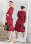 Jolie Moi Allyn Bow Neck Printed Dress, Red Spot