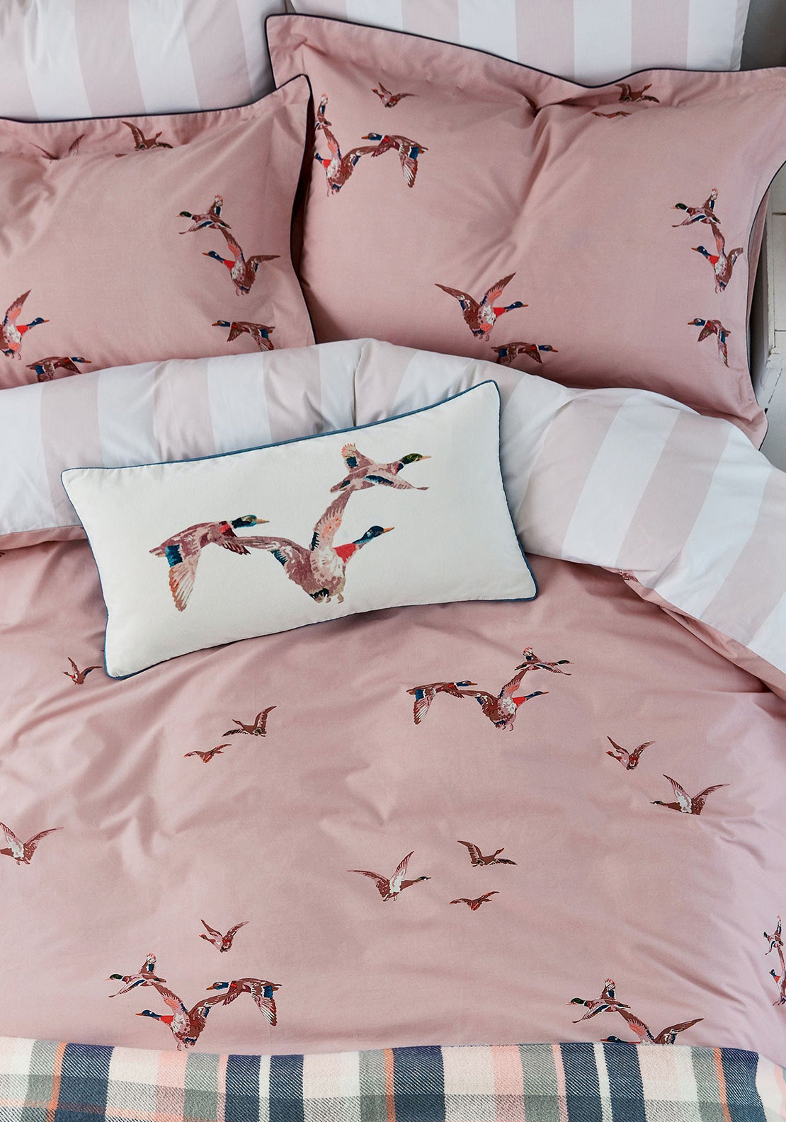 Joules Flying Mallards Duvet Cover & Pillowcase Set, Pink