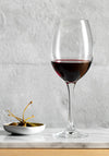 Judge Red Wine Glasses