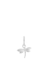 Little Kirstin Ash Dragonfly Charm, Silver