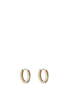 Knight & Day Stella Coloured Crystal Encrusted Hoop, Gold