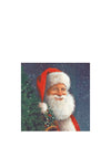 IHR Santa is Waiting for Christmas Napkins, Multi
