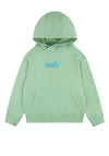 Levi’s Boy Logo Pullover Hoodie, Meadow