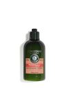 L’Occitane Intensive Repair Conditioner for Damaged Hair, 250ml