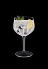 Luigi Bormioli Mixology Spanish Gin Glasses, Set of 2