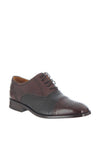 Mezlan Two Tone Leather Shoe, Chestnut Brown