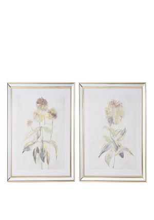 Mindy Brownes Hydrangea Print Wall Art, Set of 2