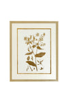 Mindy Brownes Summer Prints Wall Art, Set of 4